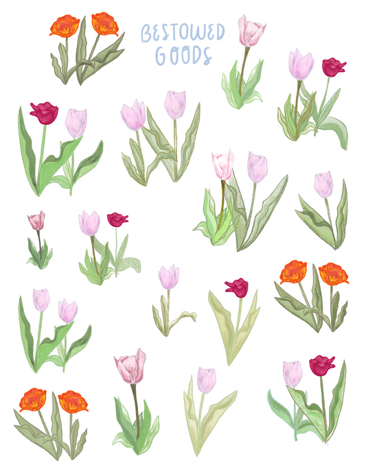 Tulips